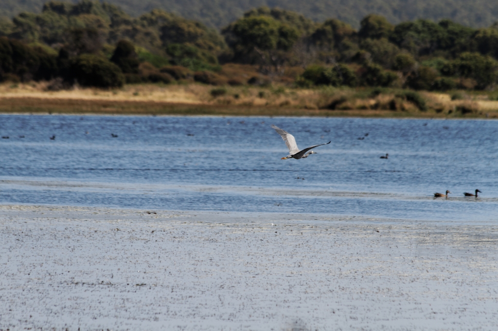 03 - Narawtapu NP (9).jpg